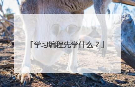 学习编程先学什么?