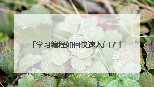 学习编程如何快速入门?