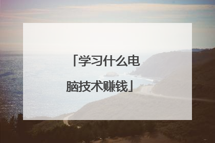 学习什么电脑技术赚钱