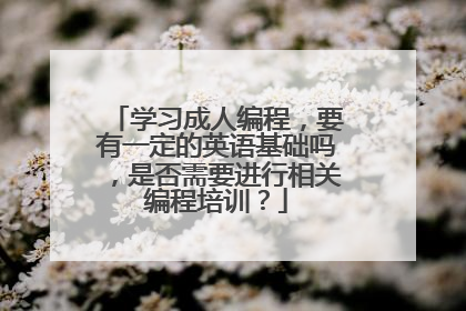 学习成人编程,要有一定的英语基础吗,是否需要进行相关编程培训?
