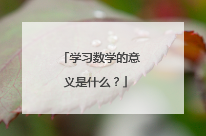 学习数学的意义是什么?