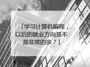 学习计算机编程,以后的就业方向是不是非常的多?