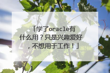 学了oracle有什么用？只是兴趣爱好，不想用于工作！