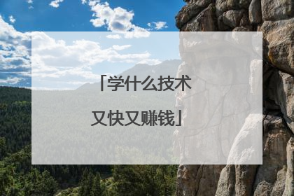 学什么技术又快又赚钱