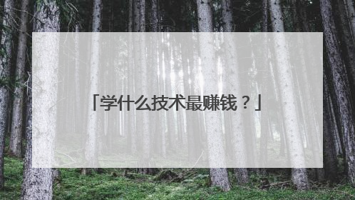学什么技术最赚钱?