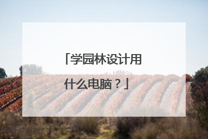学园林设计用什么电脑?