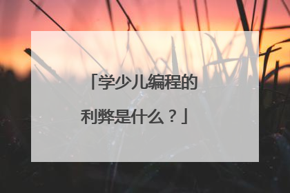 学少儿编程的利弊是什么?