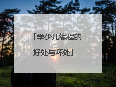 学少儿编程的好处与坏处