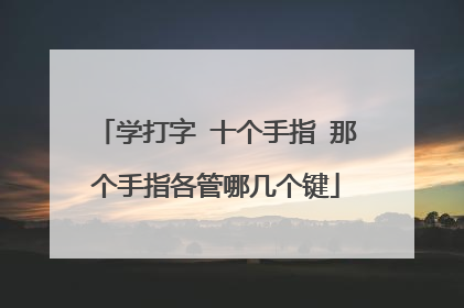 学打字 十个手指 那个手指各管哪几个键