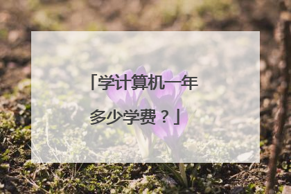 学计算机一年多少学费？