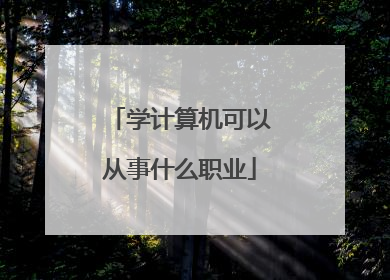 学计算机可以从事什么职业