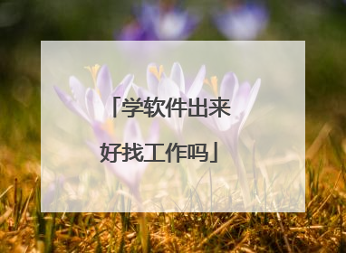 学软件出来好找工作吗
