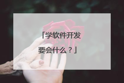 学软件开发要会什么？