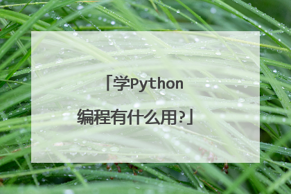 学Python编程有什么用?