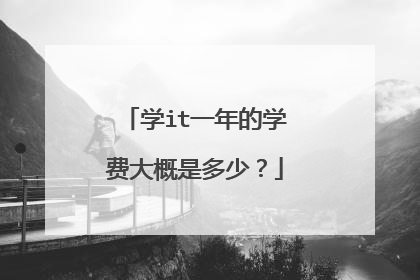 学it一年的学费大概是多少？
