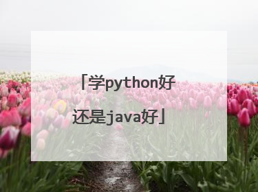 学python好还是java好