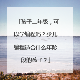孩子二年级,可以学编程吗?少儿编程适合什么年龄段的孩子?