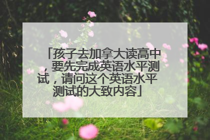 孩子去加拿大读高中，要先完成英语水平测试，请问这个英语水平测试的大致内容