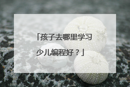 孩子去哪里学习少儿编程好?