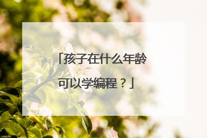 孩子在什么年龄可以学编程?