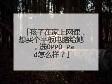 孩子在家上网课，想买个平板电脑给她，选OPPO Pad怎么样？