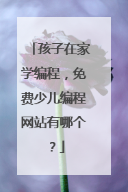 孩子在家学编程,免费少儿编程网站有哪个?
