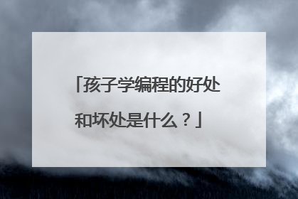 孩子学编程的好处和坏处是什么?