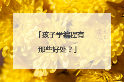 孩子学编程有那些好处？
