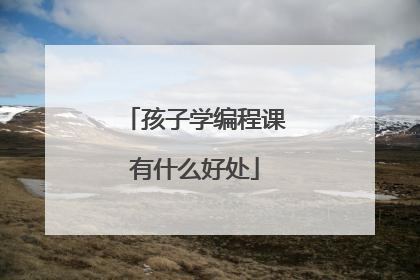 孩子学编程课有什么好处