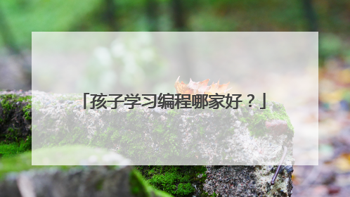 孩子学习编程哪家好？