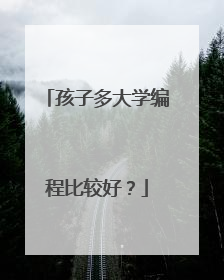 孩子多大学编程比较好?