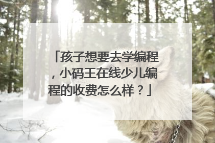 孩子想要去学编程，小码王在线少儿编程的收费怎么样？