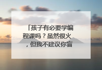 孩子有必要学编程课吗?虽然很火,但我不建议你盲目让孩子学