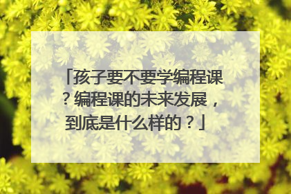 孩子要不要学编程课?编程课的未来发展,到底是什么样的?
