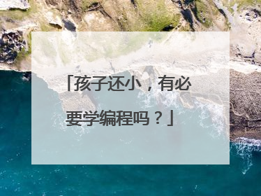 孩子还小，有必要学编程吗？