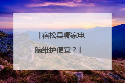 宿松县哪家电脑维护便宜?