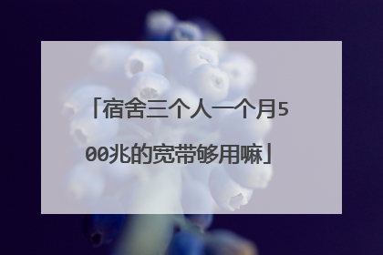 宿舍三个人一个月500兆的宽带够用嘛