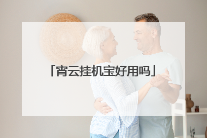 宵云挂机宝好用吗