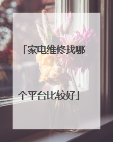 家电维修找哪个平台比较好