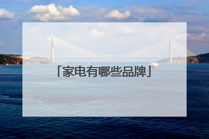 家电有哪些品牌