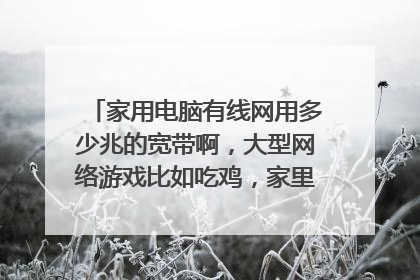 家用电脑有线网用多少兆的宽带啊，大型网络游戏比如吃鸡，家里现在是100兆的，不知道够不够？