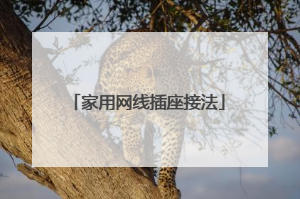 家用网线插座接法
