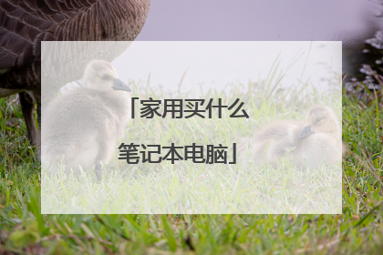 家用买什么笔记本电脑