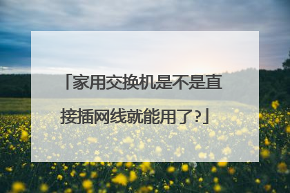 家用交换机是不是直接插网线就能用了?