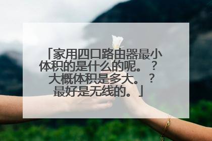 家用四口路由器最小体积的是什么的呢。？ 大概体积是多大。？最好是无线的。