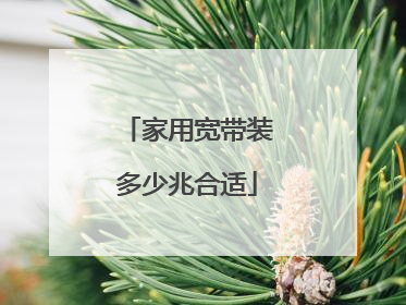 家用宽带装多少兆合适