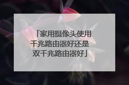 家用摄像头使用千兆路由器好还是双千兆路由器好