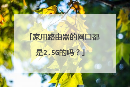 家用路由器的网口都是2.5G的吗?