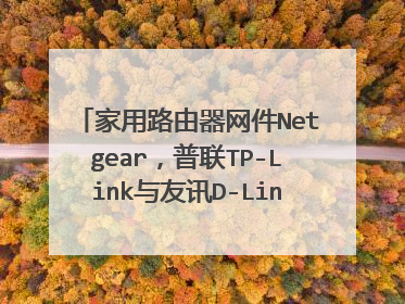 家用路由器网件Netgear，普联TP-Link与友讯D-Link哪个最好呢?