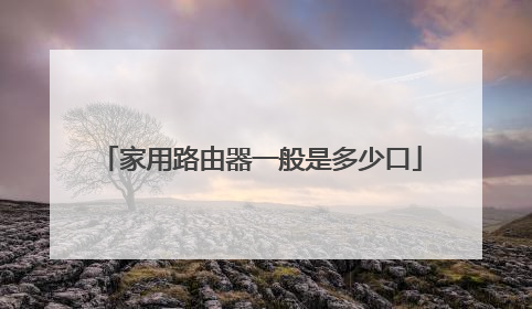 家用路由器一般是多少口